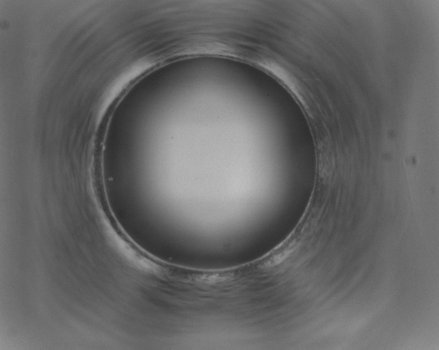 X0000077381139200611031930