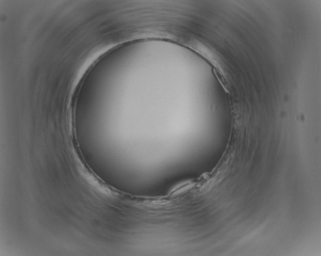 X0000077381140200611031930