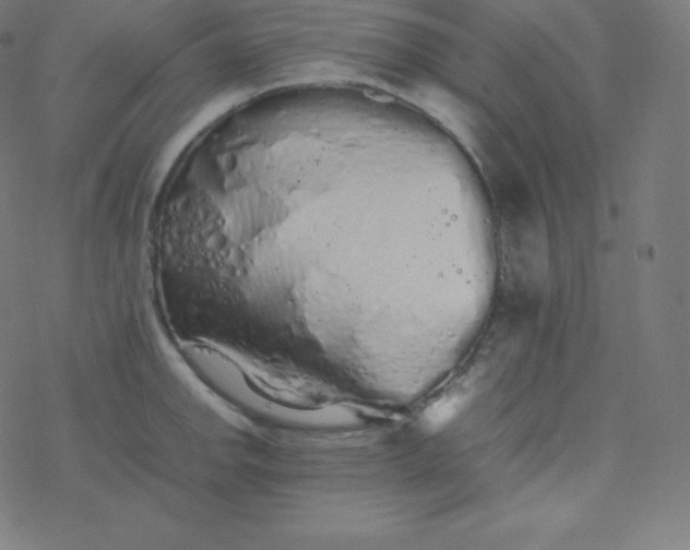 X0000077381142200611031930