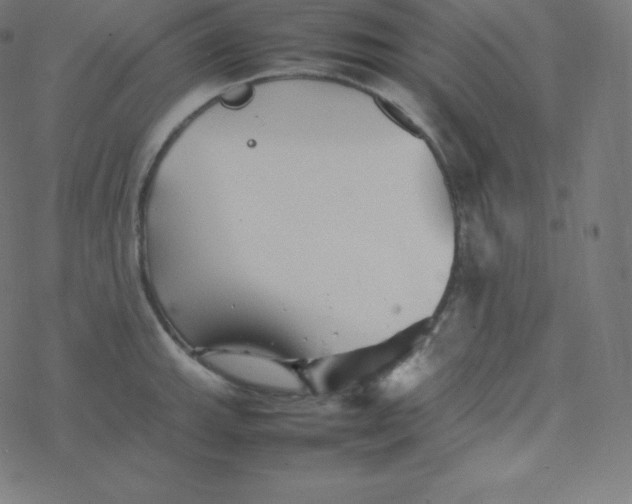 X0000077381143200611031930