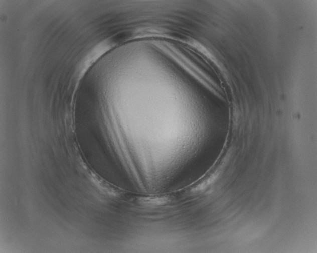 X0000077381145200611031930