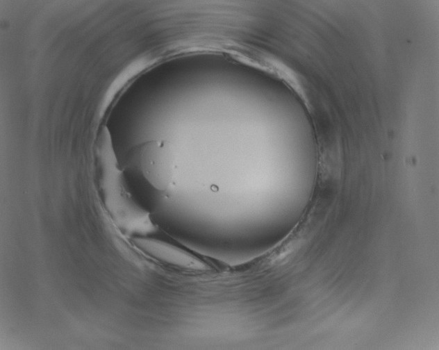 X0000077381146200611031930