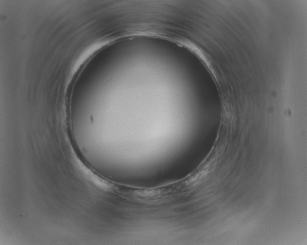 X0000077381147200611031930