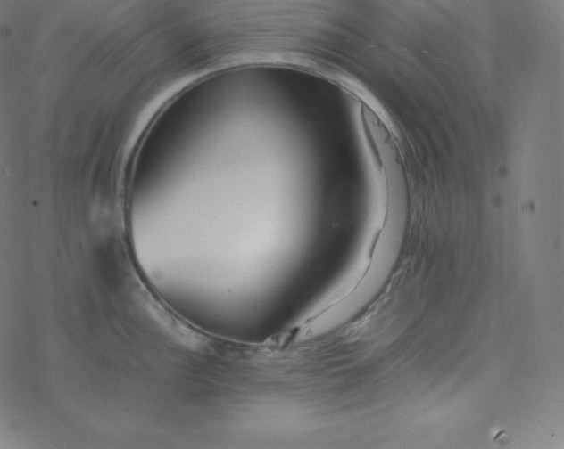 X0000077381148200611031930