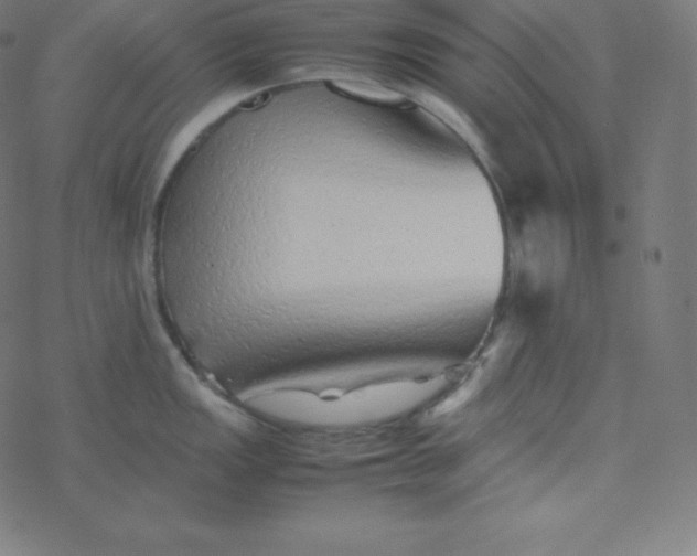 X0000077381149200611031930