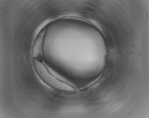 X0000077381151200611031930