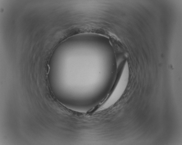 X0000077381153200611031929