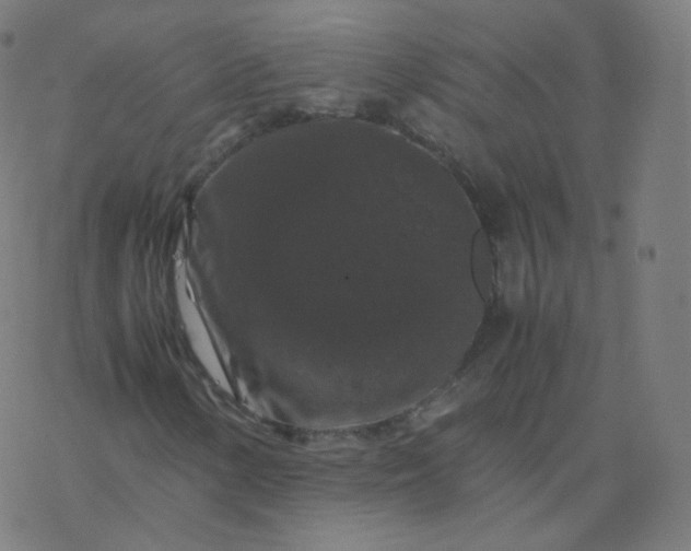 X0000077381154200611031929