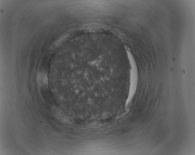 X0000077381155200611031929