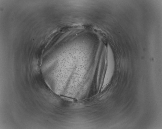 X0000077381156200611031929