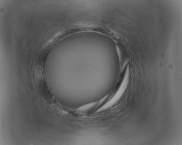 X0000077381157200611031929