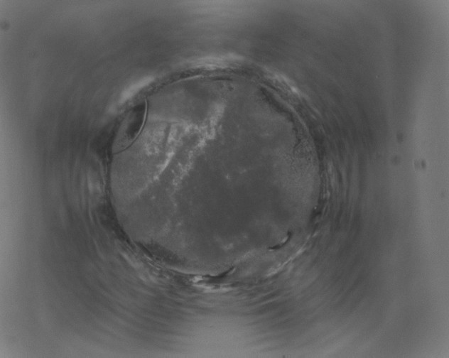 X0000077381158200611031929