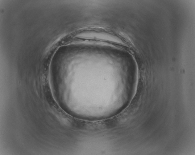 X0000077381159200611031929