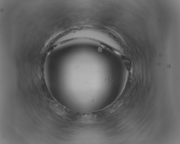 X0000077381160200611031929