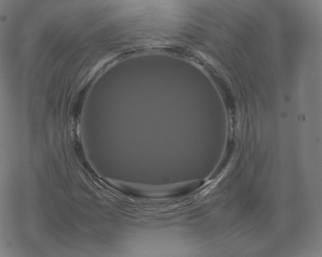 X0000077381161200611031929