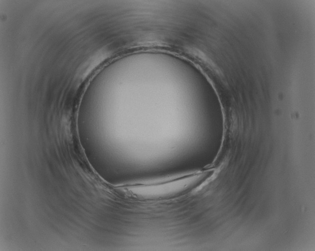 X0000077381162200611031929