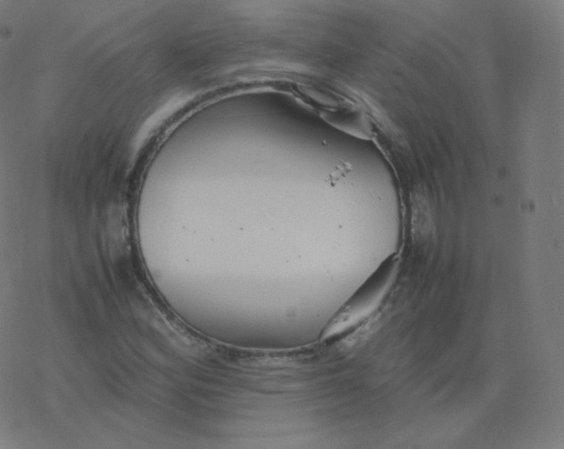 X0000077381164200611031929