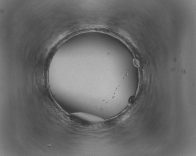 X0000077381165200611031929