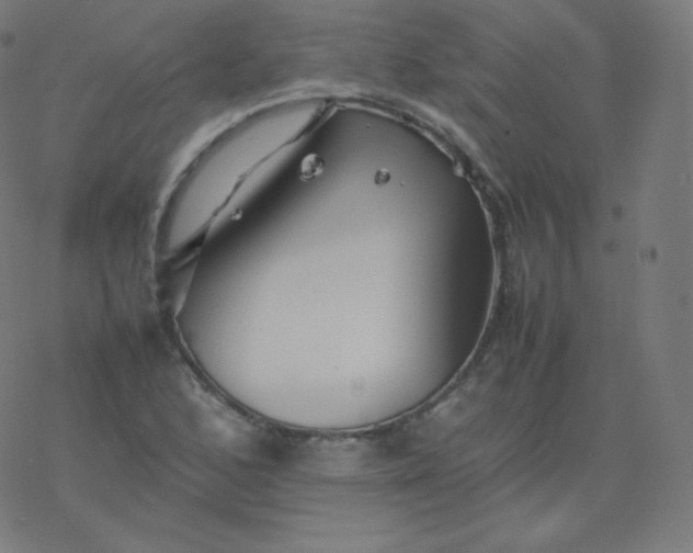 X0000077381168200611031929