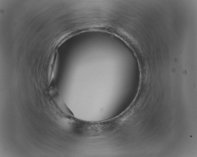 X0000077381169200611031929