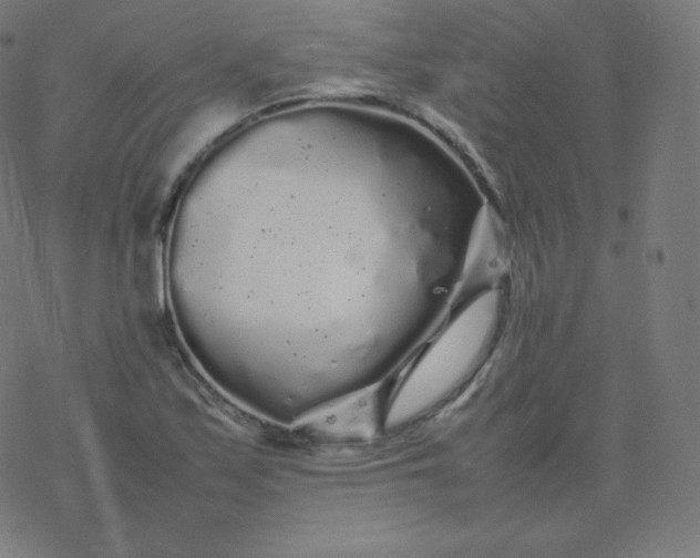 X0000077381171200611031929