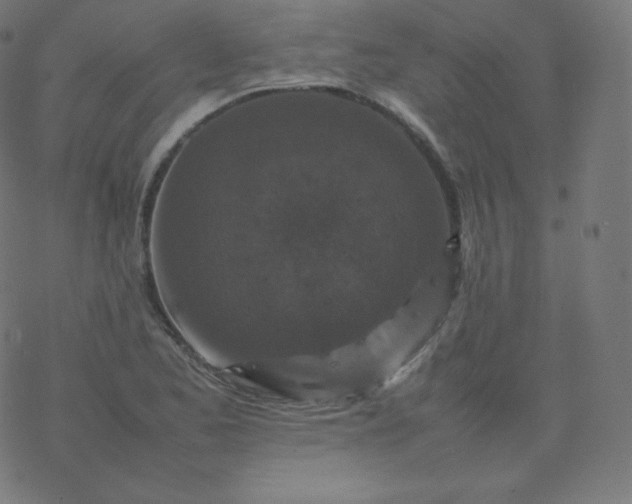 X0000077381173200611031929