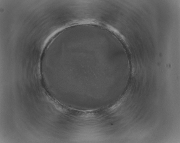 X0000077381174200611031929