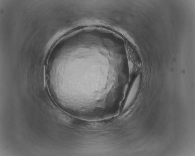 X0000077381175200611031929