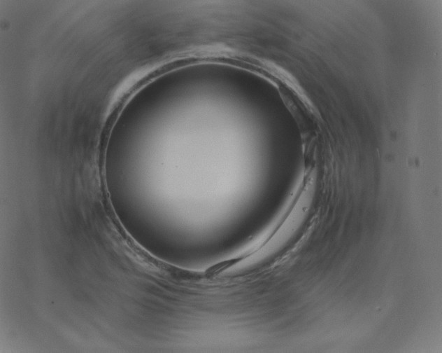 X0000077381176200611031929