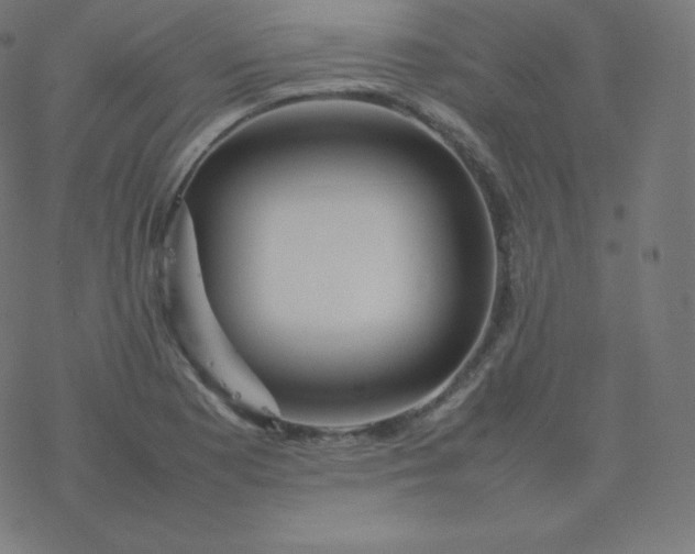 X0000077381177200611031929