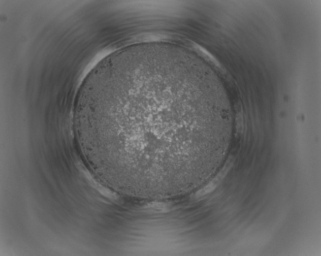 X0000077381178200611031929