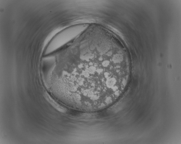 X0000077381179200611031929