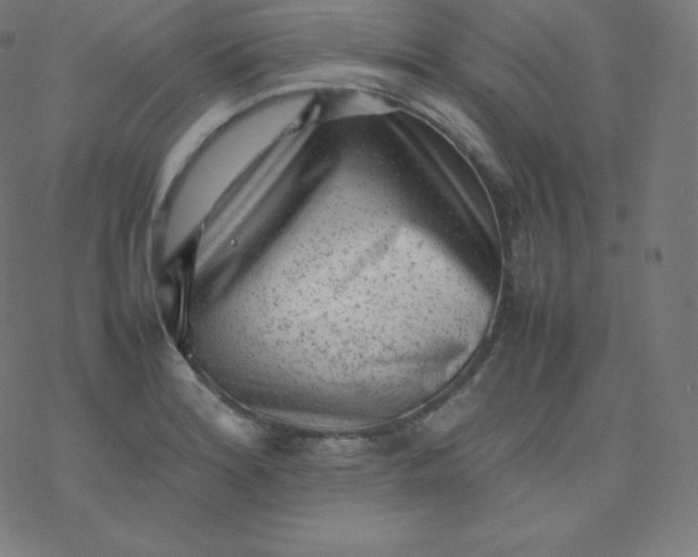 X0000077381180200611031929