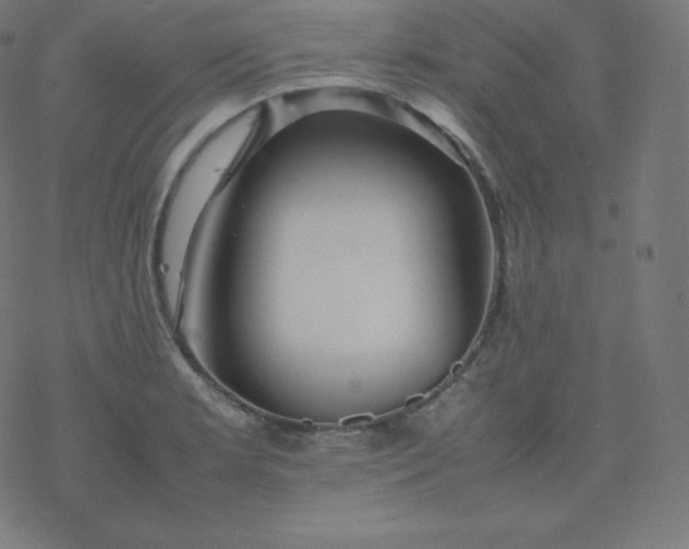 X0000077381181200611031929