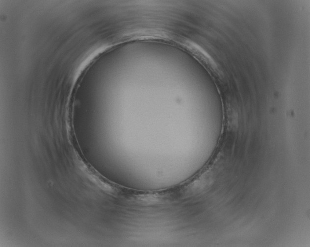 X0000077381182200611031929