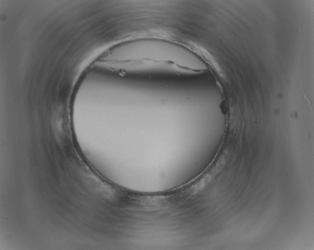 X0000077381184200611031929