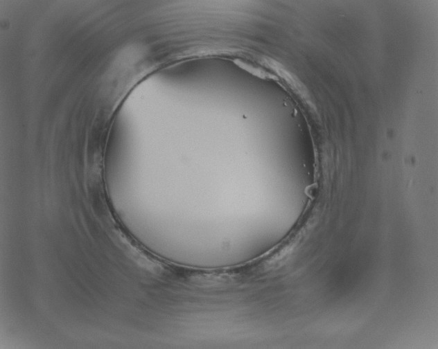 X0000077381185200611031929