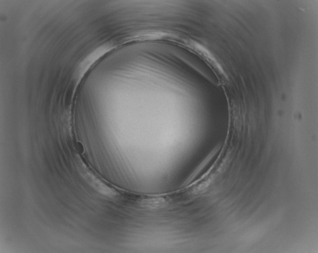 X0000077381186200611031929