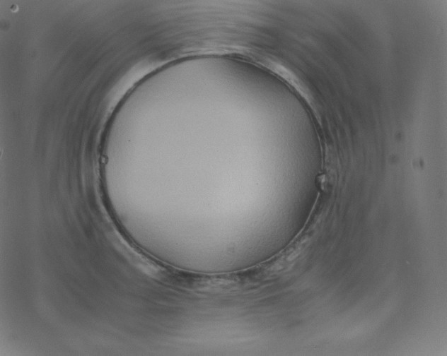 X0000077381187200611031929