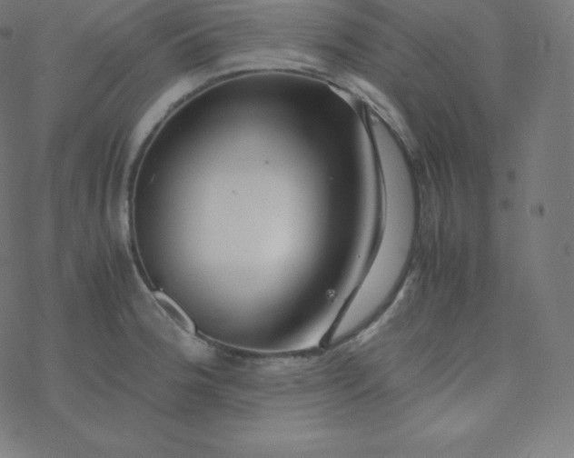 X0000077381188200611031929