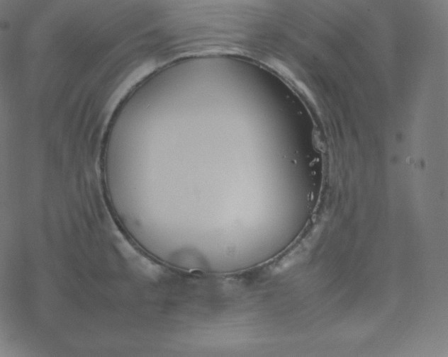 X0000077381189200611031929