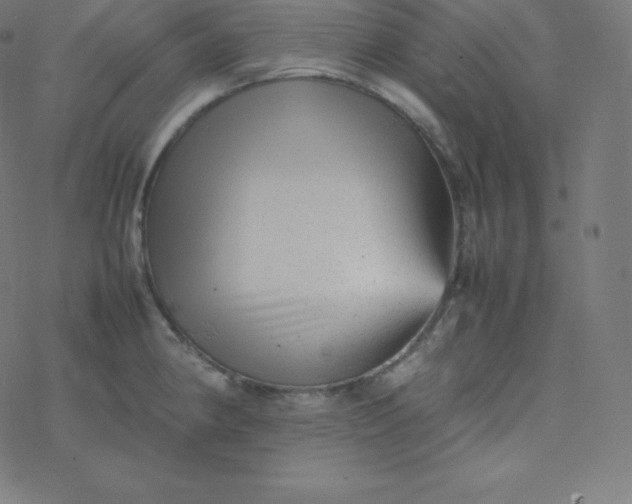 X0000077381190200611031929