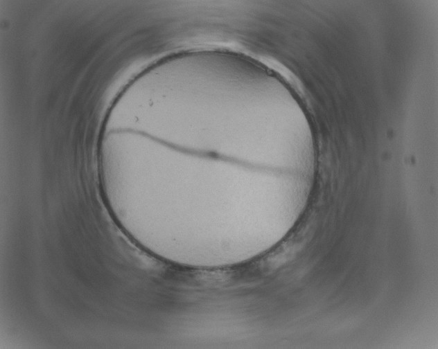 X0000077381191200611031929