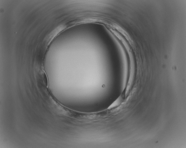 X0000077381193200611031929