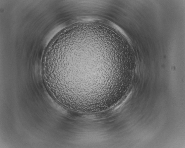 X0000077381194200611031928