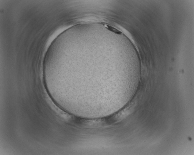 X0000077381195200611031928