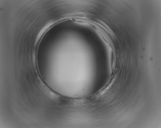 X0000077381196200611031928