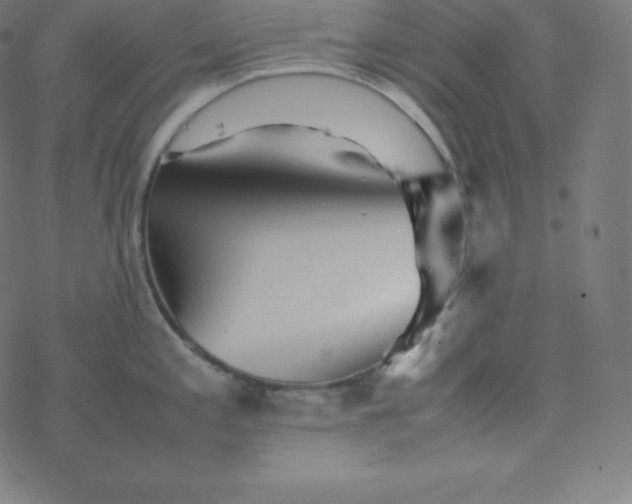 X0000077381197200611031928