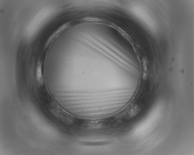 X0000077381198200611031928