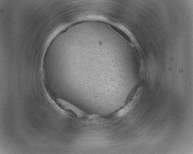 X0000077381199200611031928